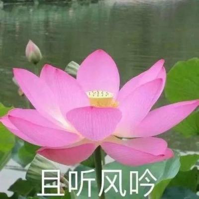 雷火电竞app官网入口